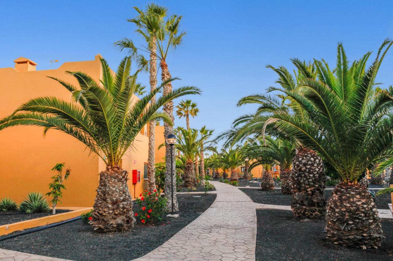 Apartamento Papagayo Lägenhet Corralejo Exteriör bild
